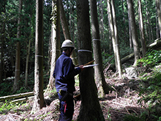 株式会社イタガキ建設コンサルタントの毎木調査